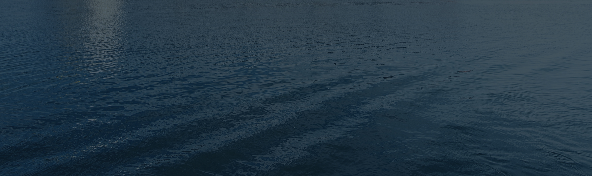 testimonial background